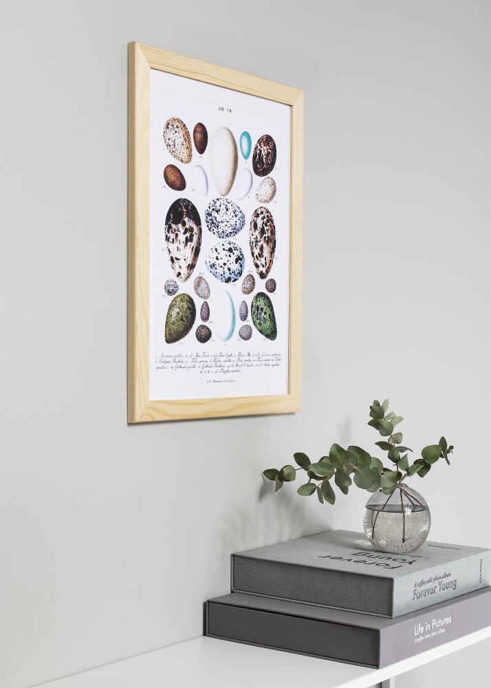 Cornice Trendline Natura 60x60 cm - passe-partout Bianco 50x50 cm