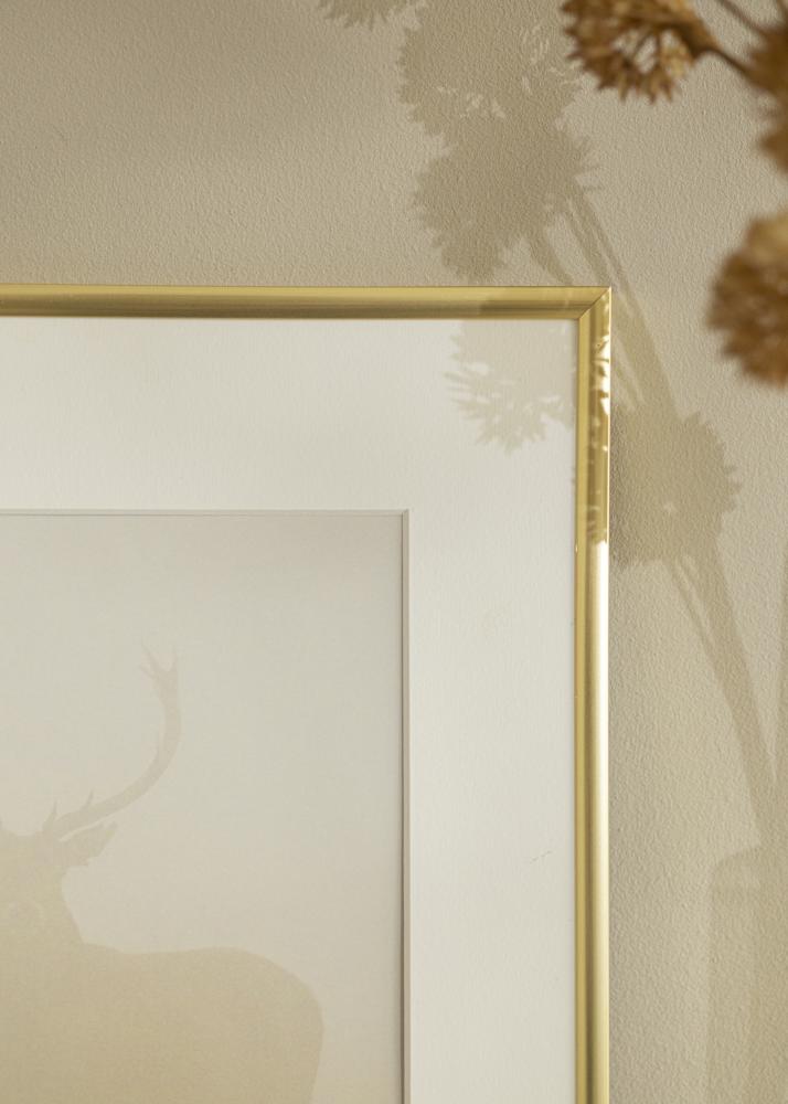 Cornice New Lifestyle Oro 20x20 cm - passe-partout Bianco 15x15 cm