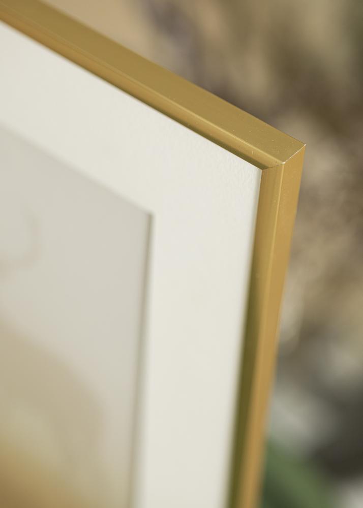 Cornice New Lifestyle Oro 60x90 cm - passe-partout Bianco 50x75 cm