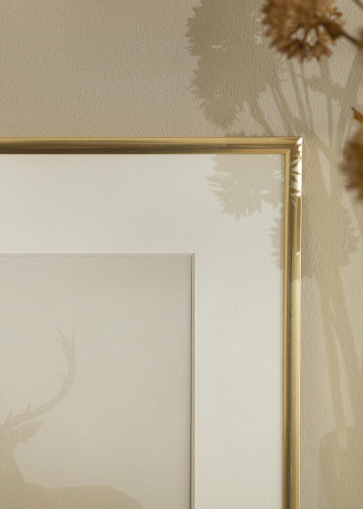 Cornice New Lifestyle Oro 60x90 cm - passe-partout Bianco 50x75 cm