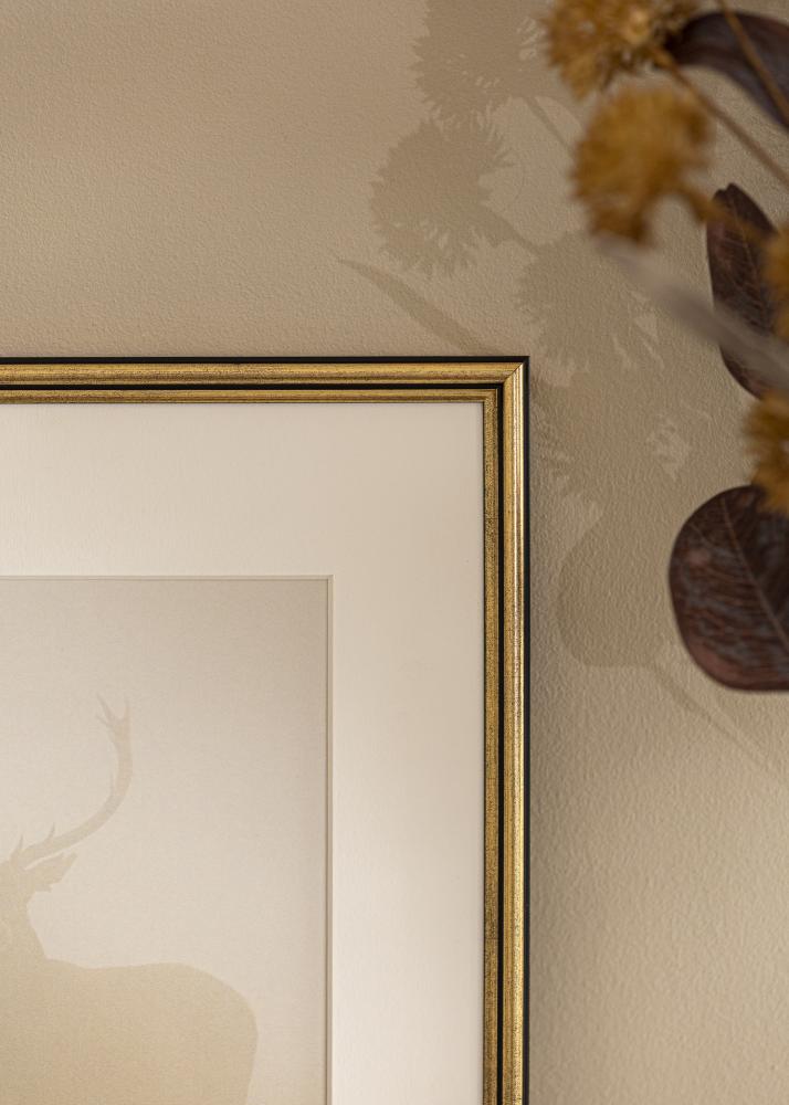 Cornice Horndal Vetro acrilico Oro 7x10 cm