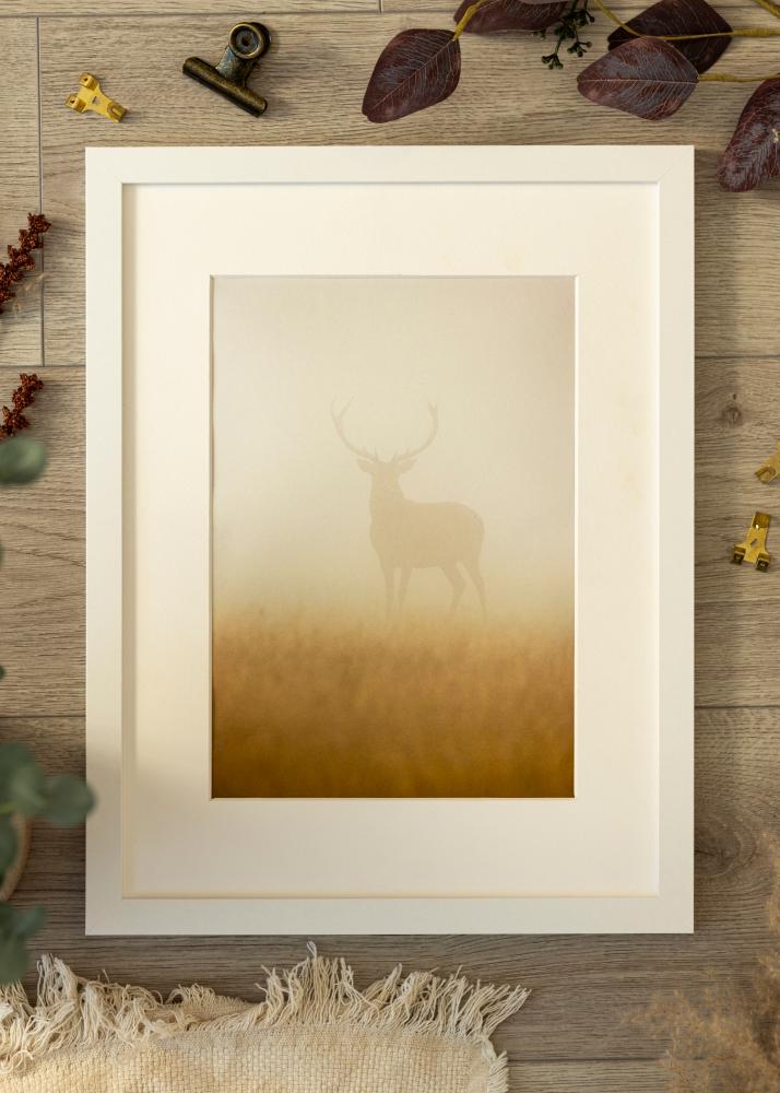 Cornice BGA Classic Bianco 50x100 cm - passe-partout Bianco 40x90 cm