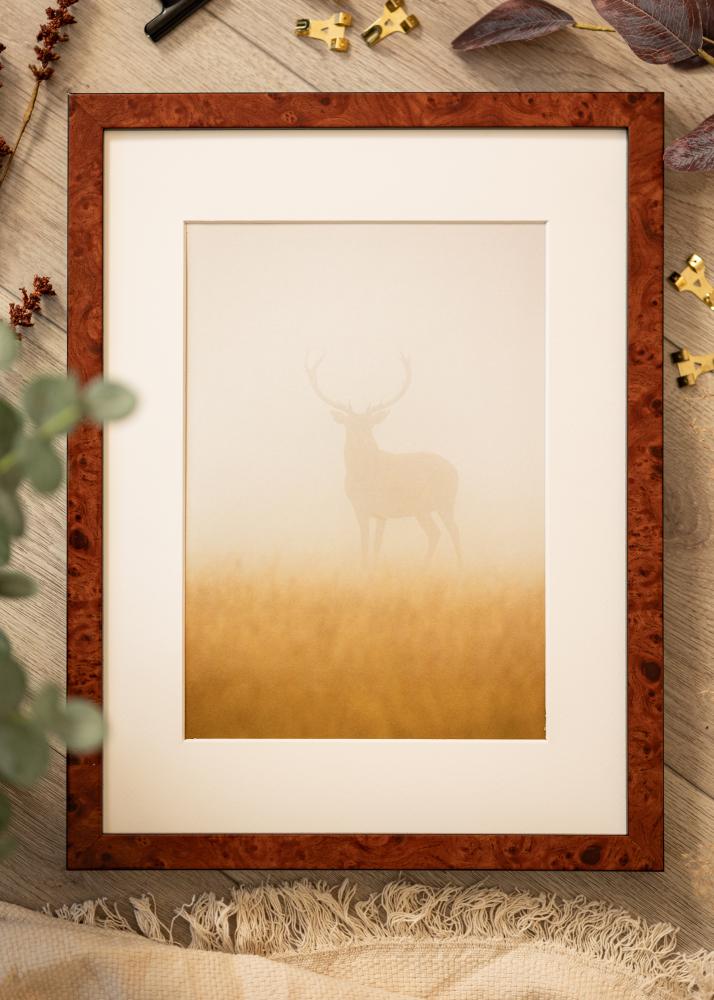 Cornice Hermes Noce 42x59,4 cm - passe-partout Bianco 25x38 cm