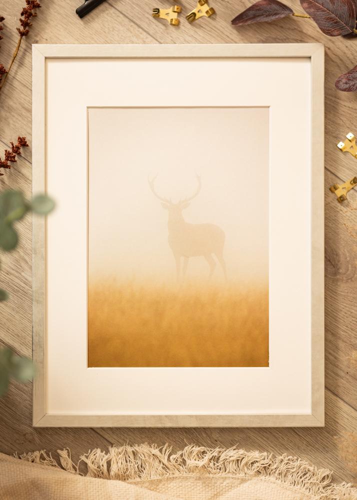 Cornice Ares Argento 50x50 cm - passe-partout Bianco 39x39 cm