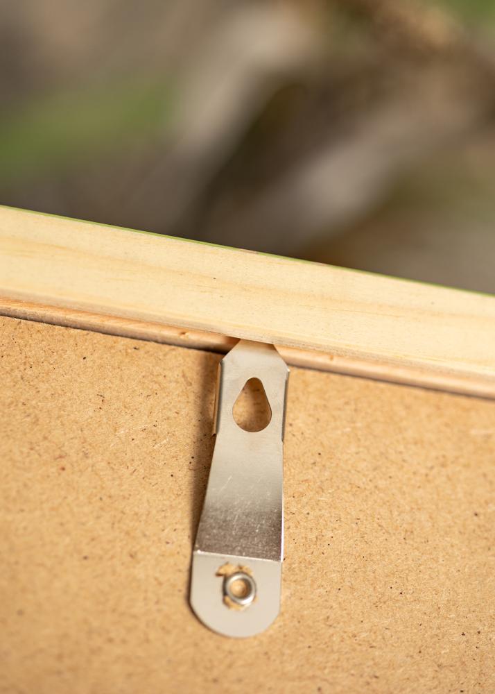 Cornice Diana Verde Chiaro 60x80 cm - passe-partout Bianco 20x27 inches