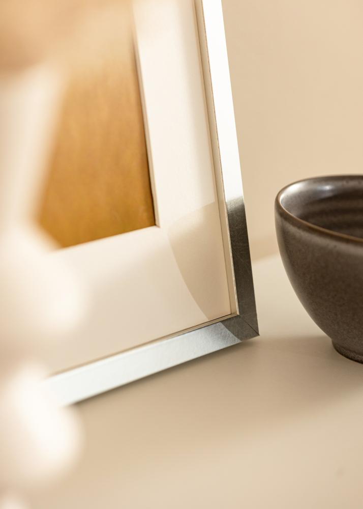 Cornice Minerva Argento 30x40 cm - passe-partout Bianco 20x28 cm