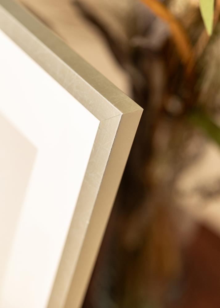 Cornice Minerva Argento 30x40 cm - passe-partout Bianco 20x28 cm