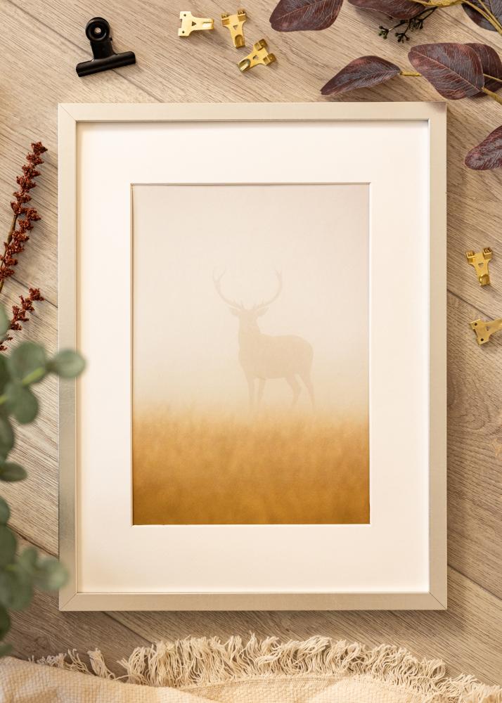 Cornice Minerva Argento 30x40 cm - passe-partout Bianco 20x28 cm