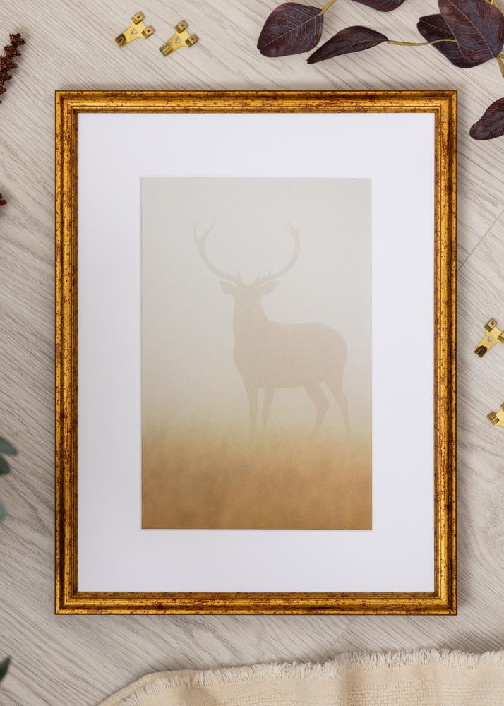 Cornice Claudia Akrylglas Oro 21x29,7 cm (A4)