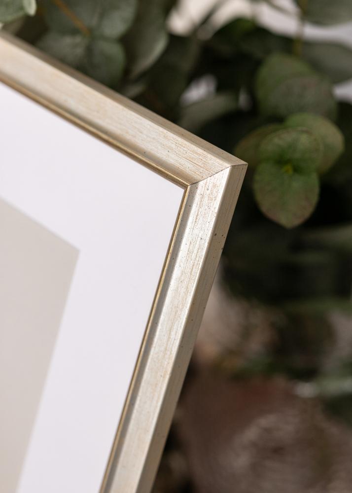 Cornice Marisa Acrilico Argento 50x70 cm