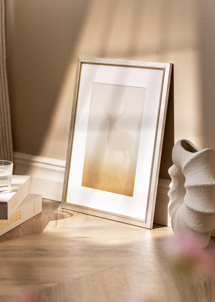 Cornice Marisa Acrilico Argento 50x70 cm