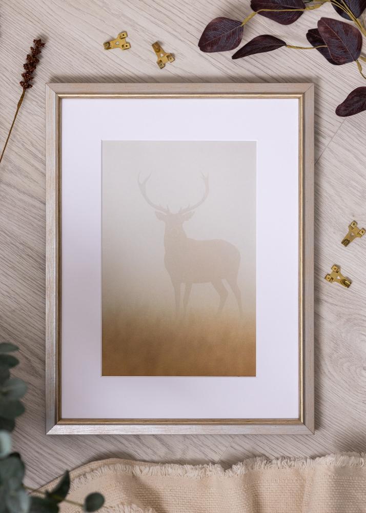 Cornice Marisa Acrilico Argento 50x70 cm