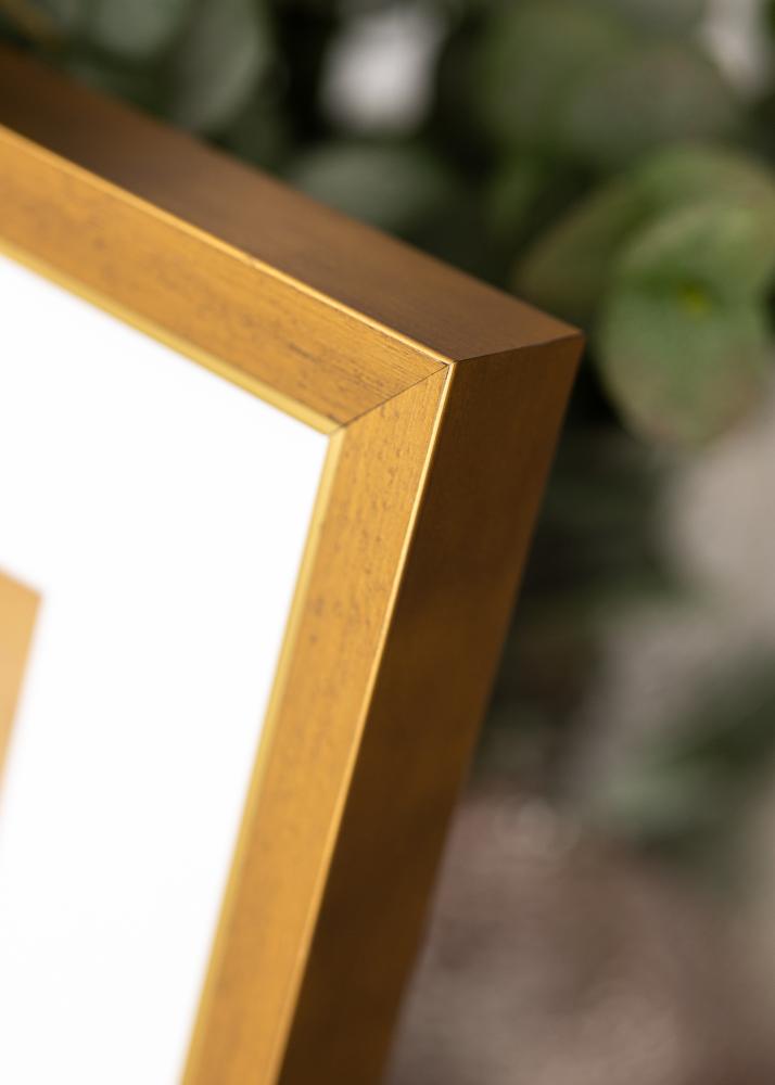 Cornice Brema Vetro Acrilico Oro 40x60 cm