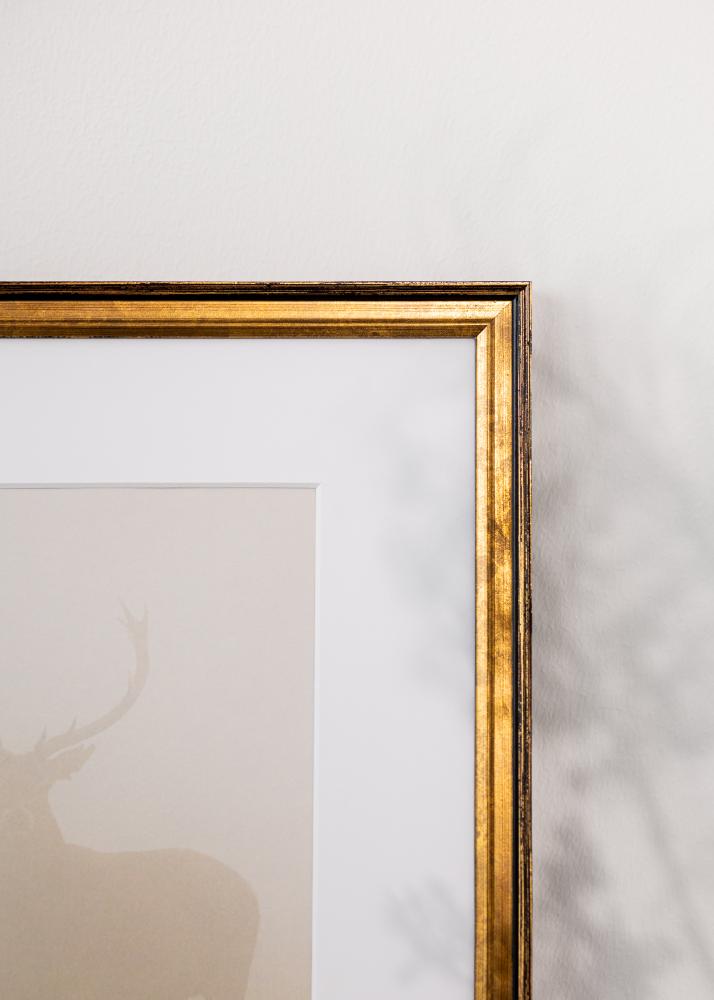 Cornice Ringa Vetro Acrilico Oro 30x40 cm