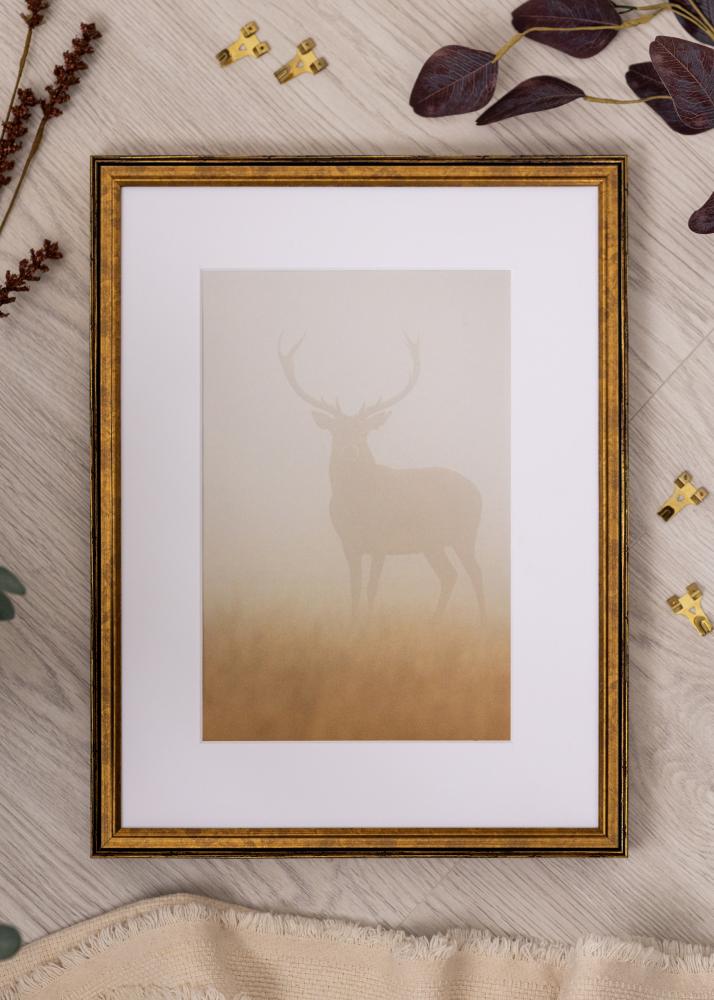 Cornice Ringa Vetro Acrilico Oro 30x40 cm