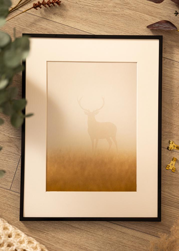 Cornice in alluminio Vetro acrilico Nero 50x60 cm