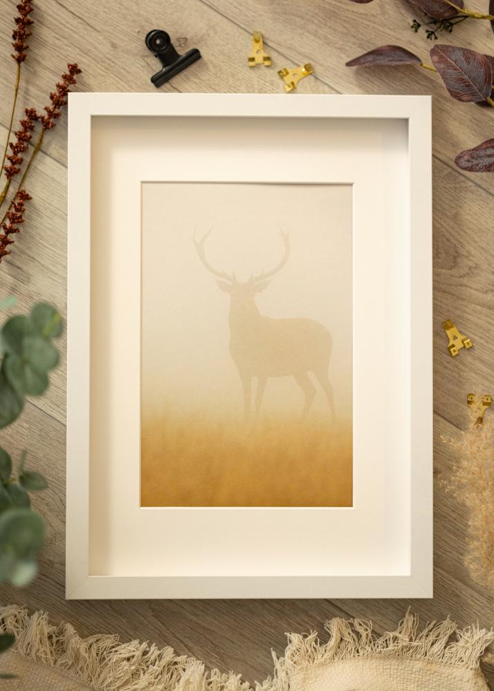 BGA Telaio a scatola Bianco 50x70 cm - passe-partout Bianco 40x60 cm