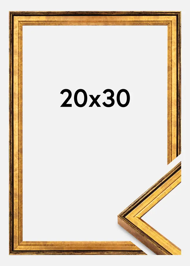 Cornice Ringa Acrilico Oro 20x30 cm