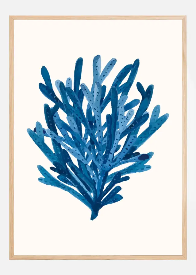 Coral Poster