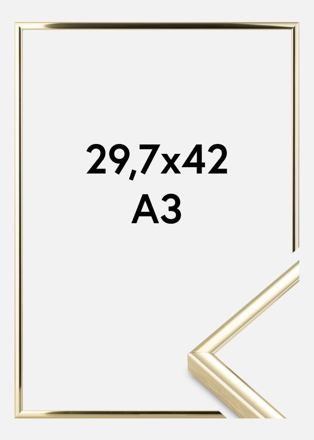 Cornice Nielsen Premium Classic Oro 29,7x42 cm (A3)