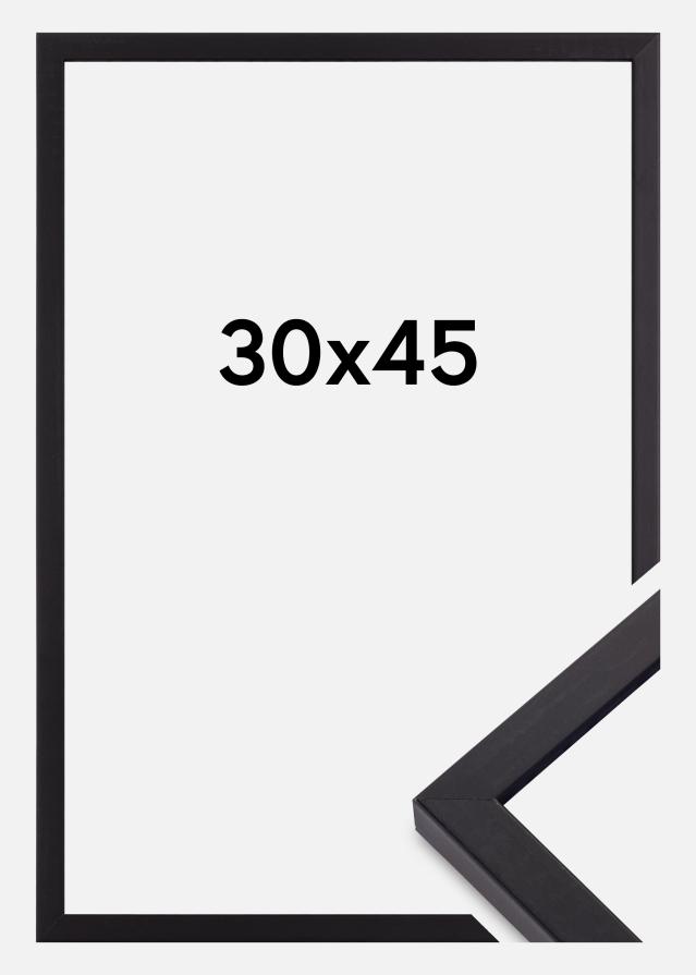 Cornice Torrance Opaco Vetro antiriflesso Nero 30x45 cm