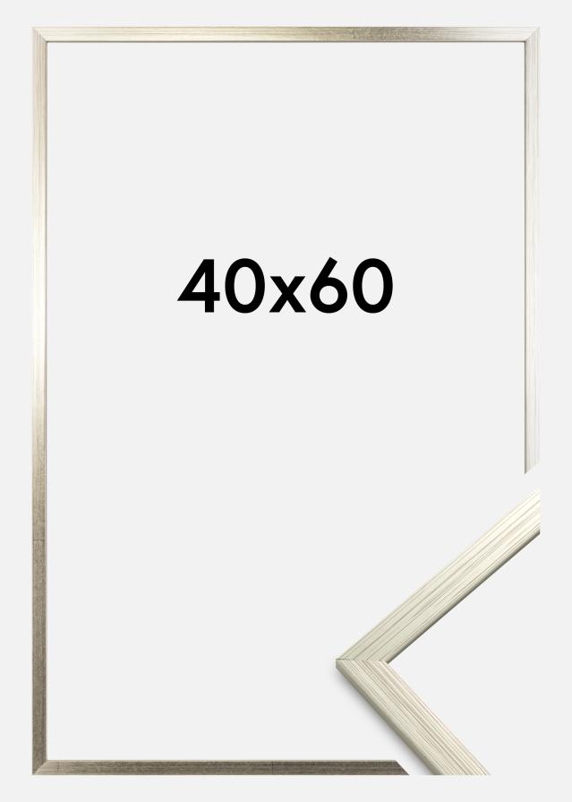 Cornice Edsbyn Vetro acrilico Argento 40x60 cm