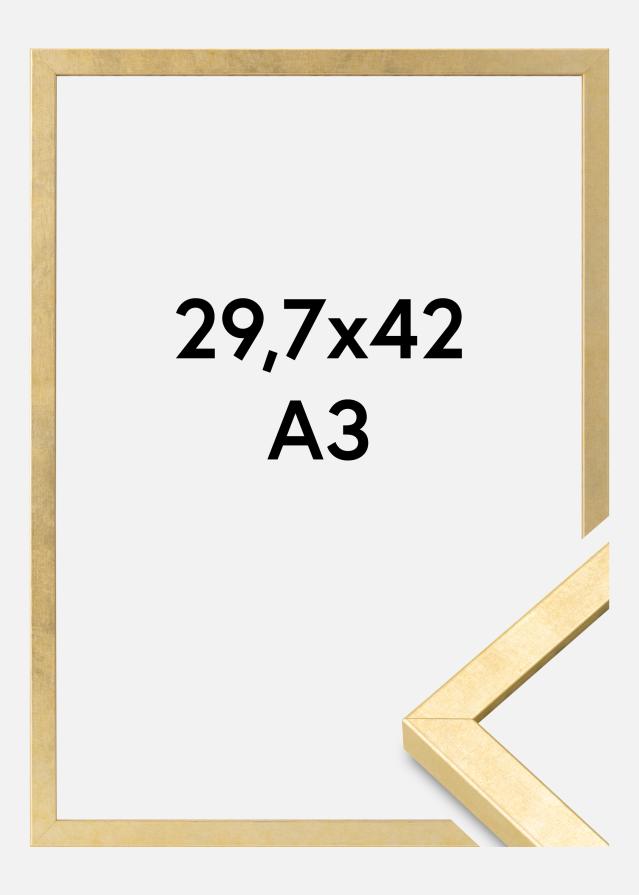 Cornice Ares Vetro Acrilico Oro 29,7x42 cm (A3)