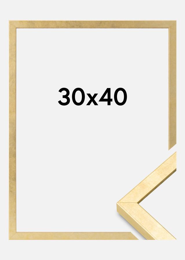 Cornice Ares Vetro Acrilico Oro 30x40 cm