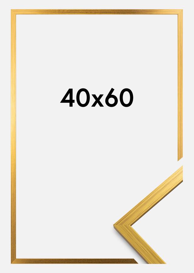 Cornice Edsbyn Oro 40x60 cm