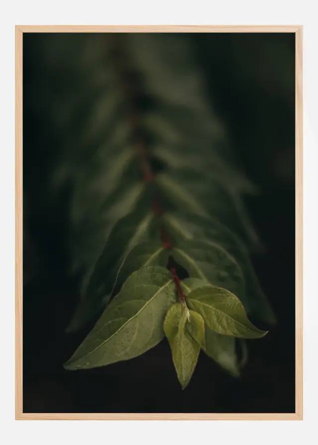 Poster Cornici o sfocato