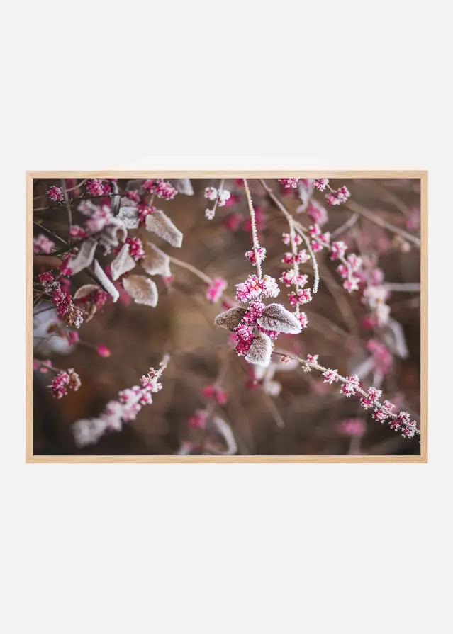 Poster primo piano fiori