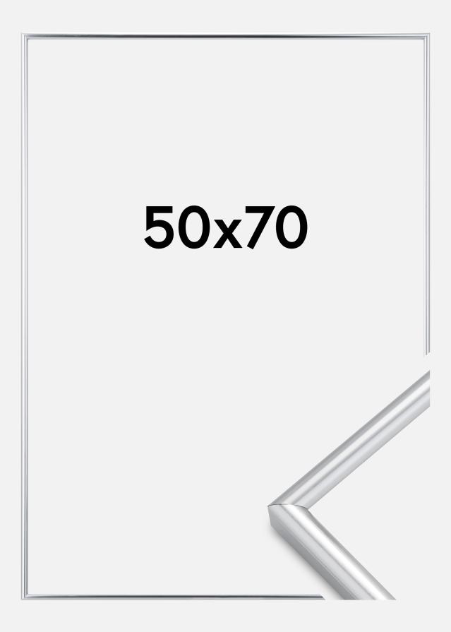 Cornice Galeria Argento 50x70 cm