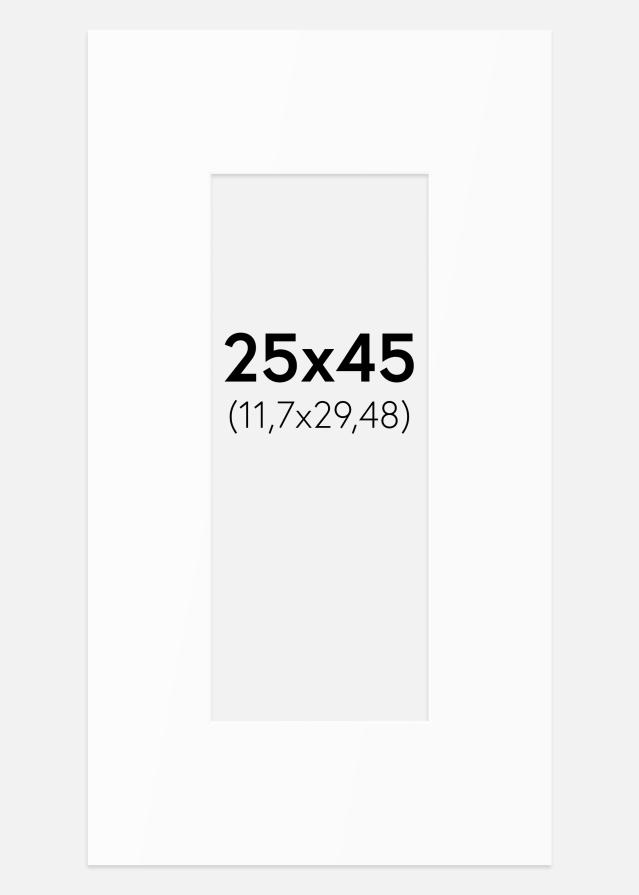 Passe-partout Bianco Standard (Bordo interno bianco) 25x45 cm (11,7x29,48)