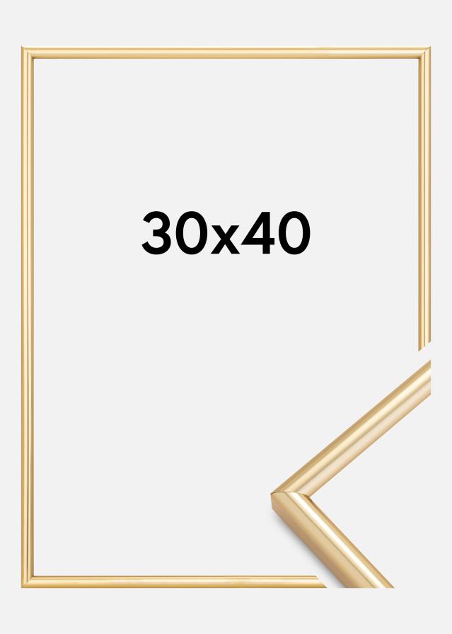 Cornice Galeria Oro 30x40 cm