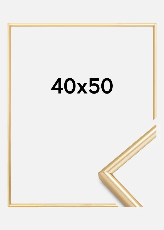 Cornice Galeria Oro 40x50 cm