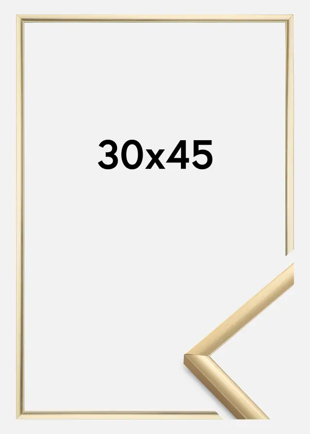 Cornice New Lifestyle Oro 30x45 cm