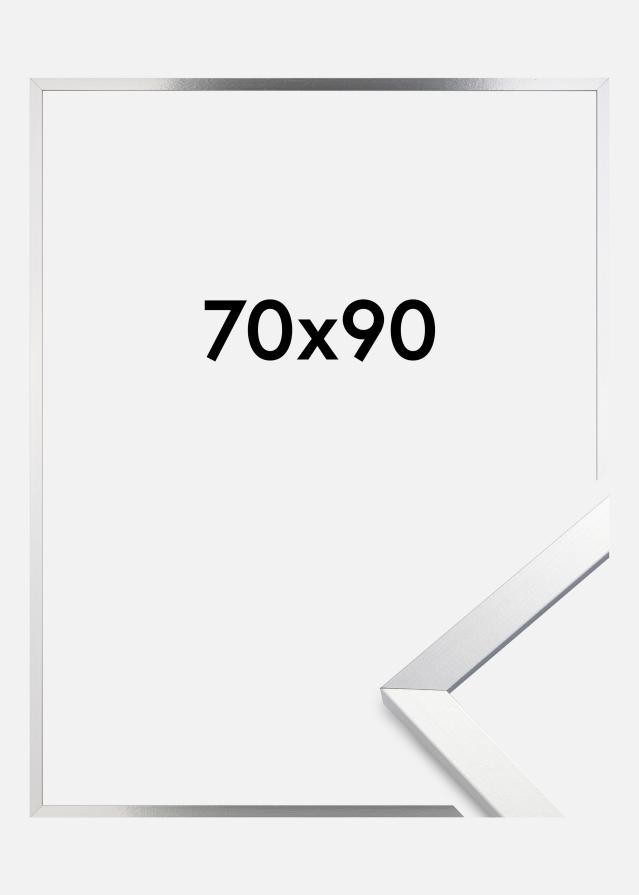 Cornice Trendy Vetro Acrilico Argento 70x90 cm