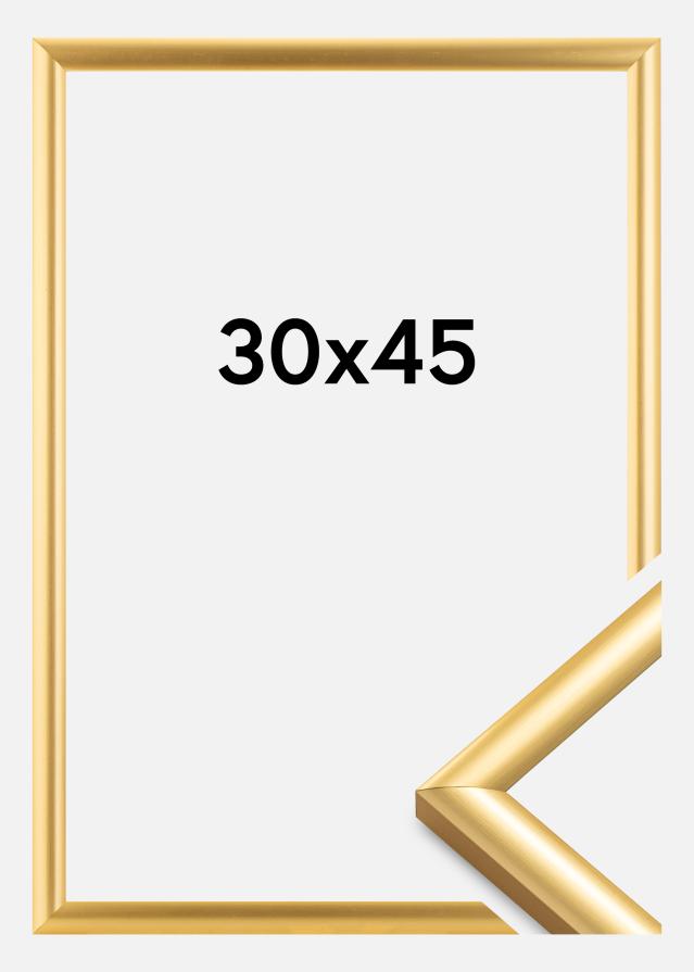 Cornice Trendstyle Oro 30x45 cm