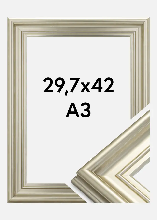 Cornice Mora Premium Argento 29,7x42 cm (A3)