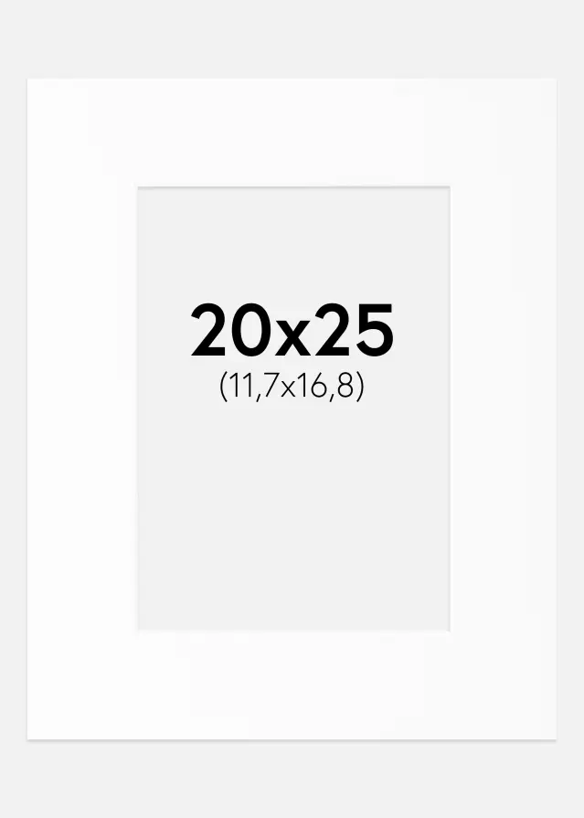 Passe-partout Bianco Standard (Bordo interno bianco) 20x25 cm (11,7x16,8)