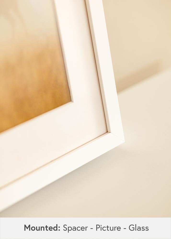 Cornice Sala Bianco - Dimensioni personalizzabili