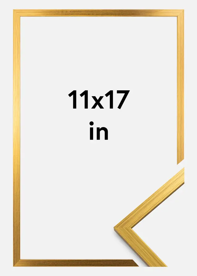 Cornice Edsbyn Vetro acrilico Oro 11x17 inches (27,94x43,18 cm)