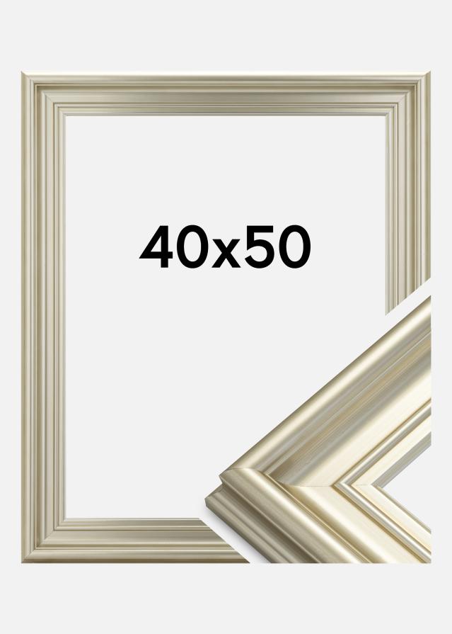 Cornice Mora Premium Argento 40x50 cm