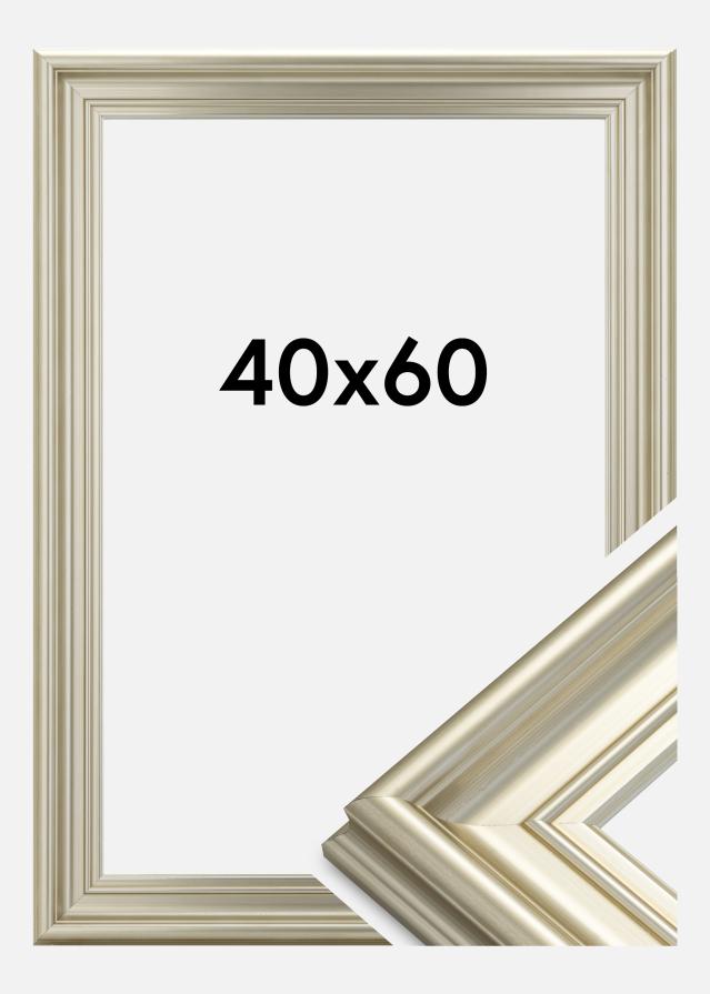 Cornice Mora Premium Argento 40x60 cm