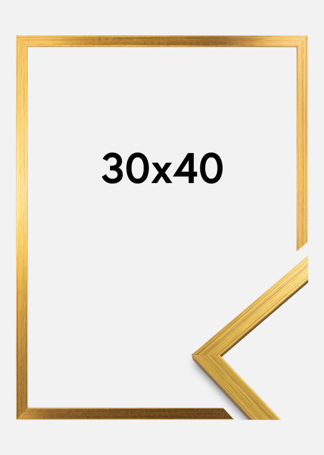Cornice Edsbyn Vetro acrilico Oro 30x40 cm