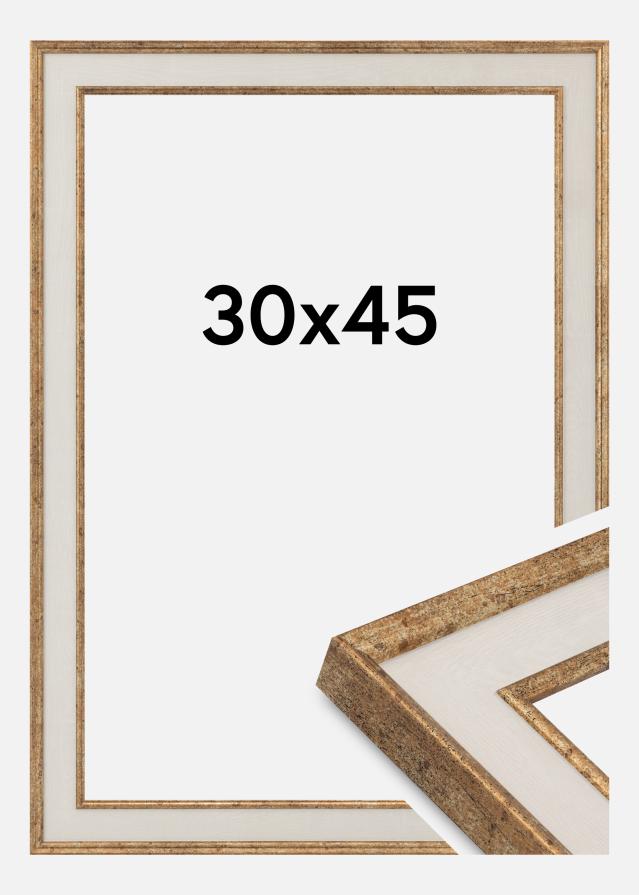 Cornice Dolly Vetro acrilico Oro 30x45 cm