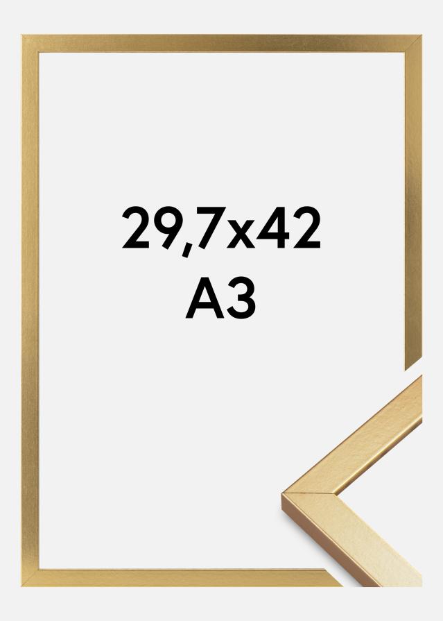 Cornice Minerva Acrilico Oro 29,7x42 cm (A3)