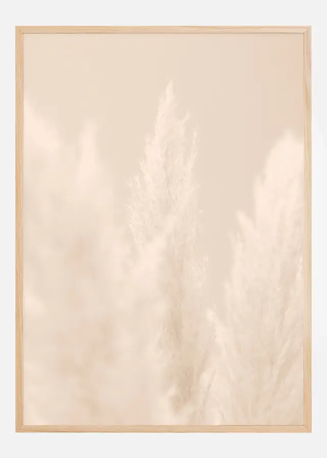 Pampas Grass II Poster