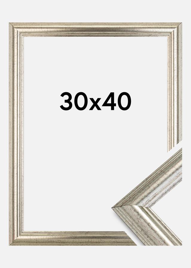 Cornice Västkusten Vetro acrilico Argento 30x40 cm