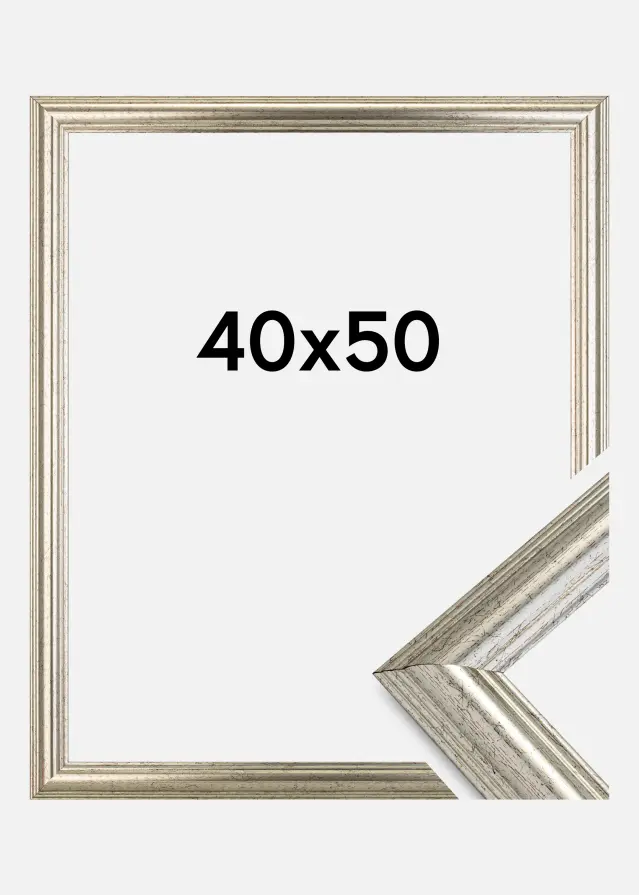 Cornice Västkusten Vetro acrilico Argento 40x50 cm